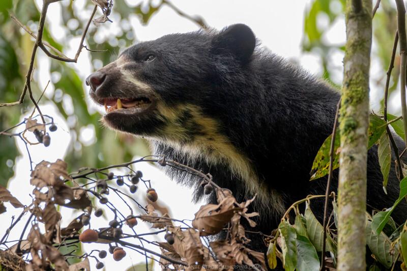 Intag Valley (Photo by Lucas Bustamante / @luksth)