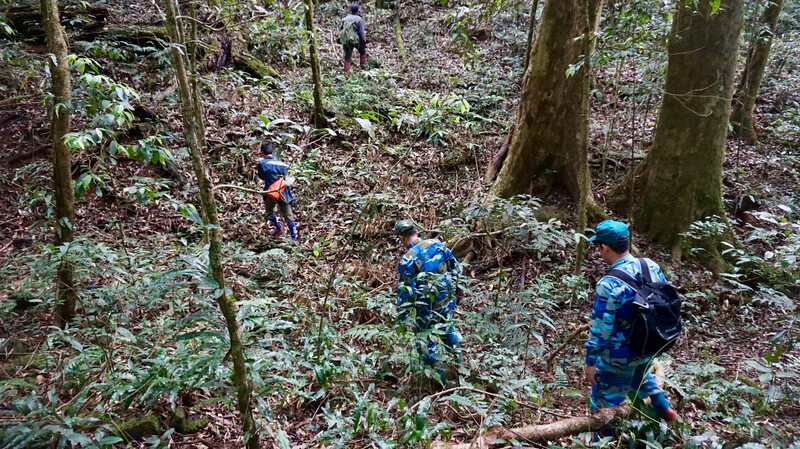 Patrolling in Vietnam. An Nguyen (Re:wild ) and local Rangers. (Photo by Andrew Tilker, Re:wild)