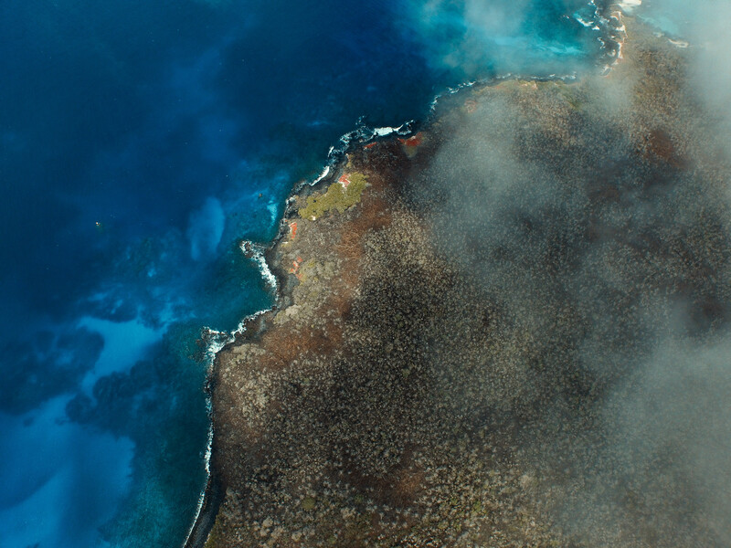 An aerial view of Floreana Island in the Galápagos. Re:wild, Island Conservation and Galápagos National Park Directorate are working together to restore Floreana Island, home to 54 threatened species, and reintroduce 13 locally extinct species, including the Floreana mockingbird—the first mockingbird described by Charles Darwin. (Photo courtesy of Island Conservation)