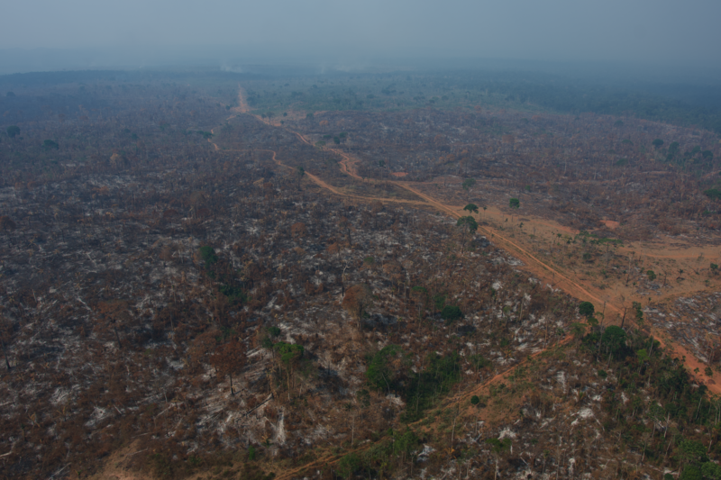 Two protected areas in the Brazilian Amazon's southern region, including the São Benedito and Azul Rivers Wildlife Refuge, have already lost 10% of their forests to fire and there is no sign of the fires letting up.   (Photo by Gustavo Figueirôa/Rede Pro UC)