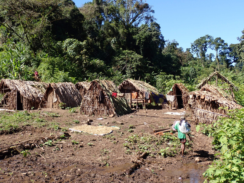 A village in Makira, Madagascar. (Photo by Dmitry Telnov)