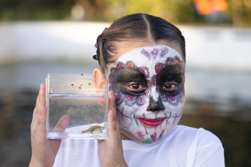Golden Skiffia ready for release during Day of the Dead celebrations (Photo by Manfred Meiners/Re:wild)