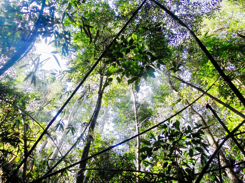 Photo by Andrew Tilker, Re:wild