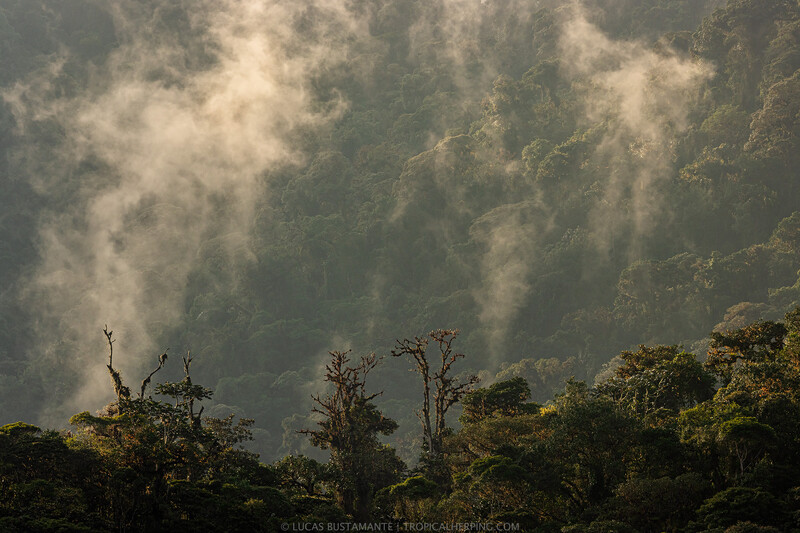 Intag Valley (Photo by Lucas Bustamante / @luksth)