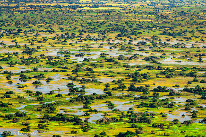 Islands, waterways and flooded grassland, Okavango Delta, Botswana. (Photo: © Frans Lanting)