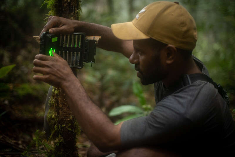 Gison Morib, with Cenderawasih University (UNCEN), setting up a camera trap in search of Attenborough’s long-beaked echidna (Photo by Expedition Cyclops 2023)