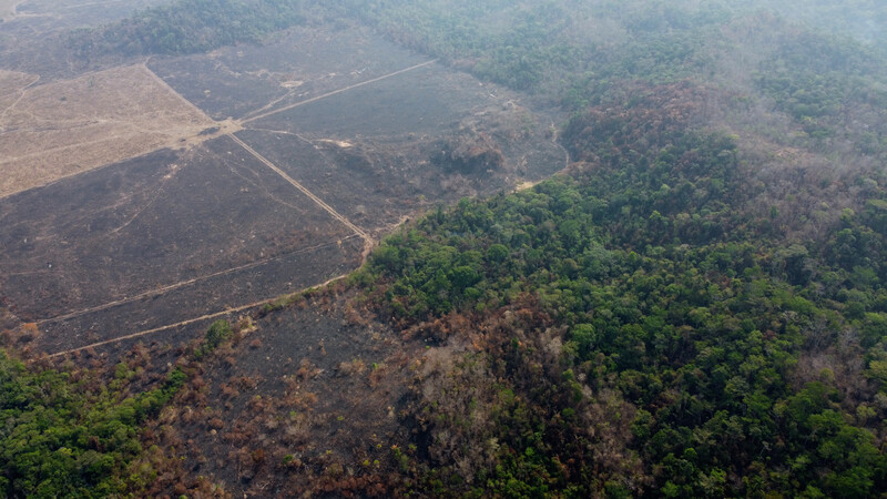 Two protected areas in the Brazilian Amazon's southern region, including Cristalino II State Park, have already lost 10% of their forests to fire. (Photo by Gustavo Figueirôa/Rede Pro UC)