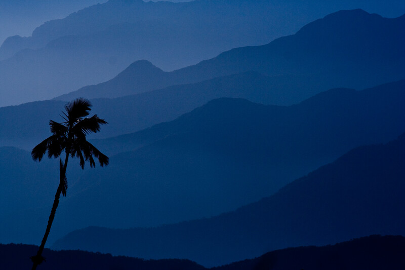 Palm tree silhouetted against mountains in the Sierra Nevada de Santa Marta, Colombia