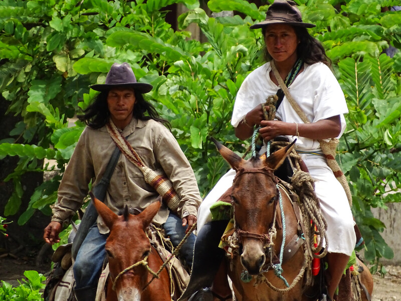 Members of the Sogrome community in Colombia’s Sierra Nevada de Santa Marta. (Photo courtesy of Fundación Atelopus)