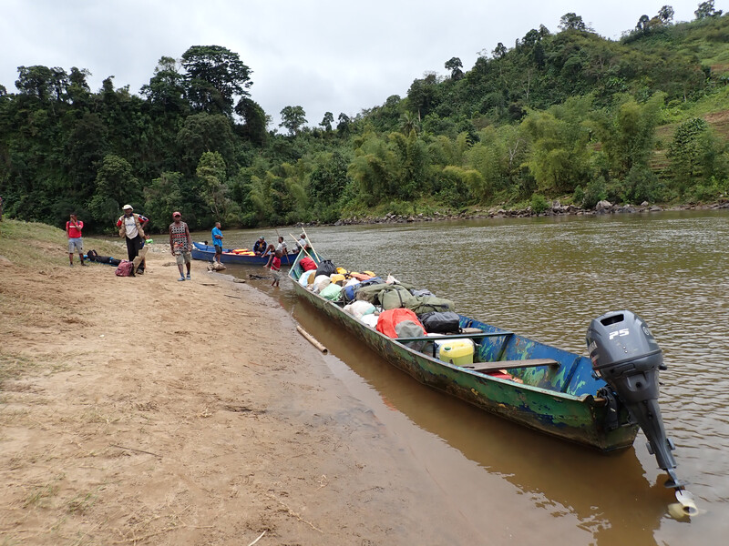 A Search for Lost Species expedition to Makira Natural Park in September 2023 required a team of more than 30 people to fly, drive, navigate a river and hike to an undisturbed part of the forest along with all of their provisions and equipment. (Photo by Dmitry Telnov)
