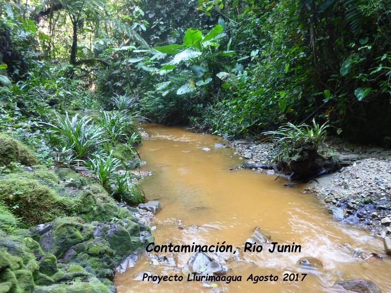 Photo by Carlos Zorilla