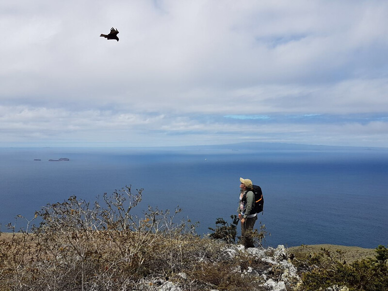Paula Castaño, a wildlife veterinarian and island restoration specialist with Island Conservation in the field in the Galápagos. (Photo by Island Conservation)