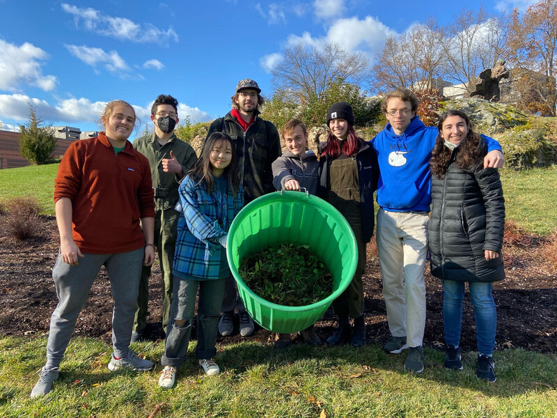Brandeis University volunteer weeding  Photo by Re:wild Your Campus