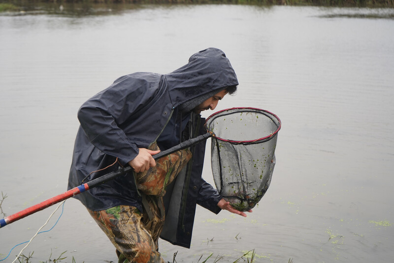 Cüynet Kaya, associate professor with Recep Tayyip Erdogan University, searching for the Batman River Loach. The Batman River Loach had been lost since 1974 until the team rediscovered it in the streams that makeup the headwaters of the Batman River. (Photo courtesy of Re:wild)