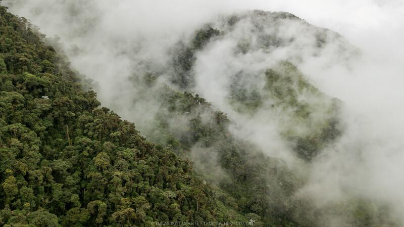 Intag Valley (Photo by Lucas Bustamante / @luksth)