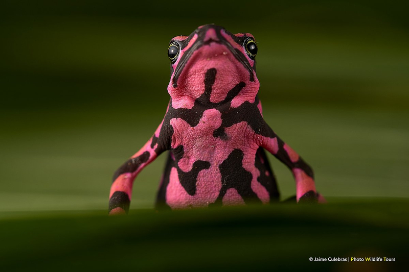 Photo by Jaime Culebras