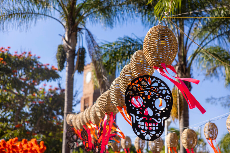 Day of the Dead celebrations near the Teuchitlán River, Jalisco. (Photo by Manfred Meiners/Re:wild)