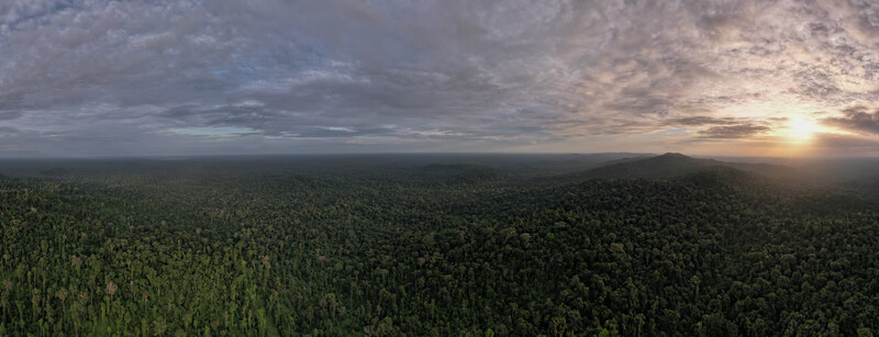 In the Inga language (a variation of the Quechuan language) spoken in southern Colombia, the word “kawari” means a panoramic view of the forest or the landscape. (Photo by Andrew Snyder/Re:wild)