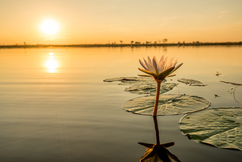 Botswana's Okavango Delta (Photo by Peter Moore)