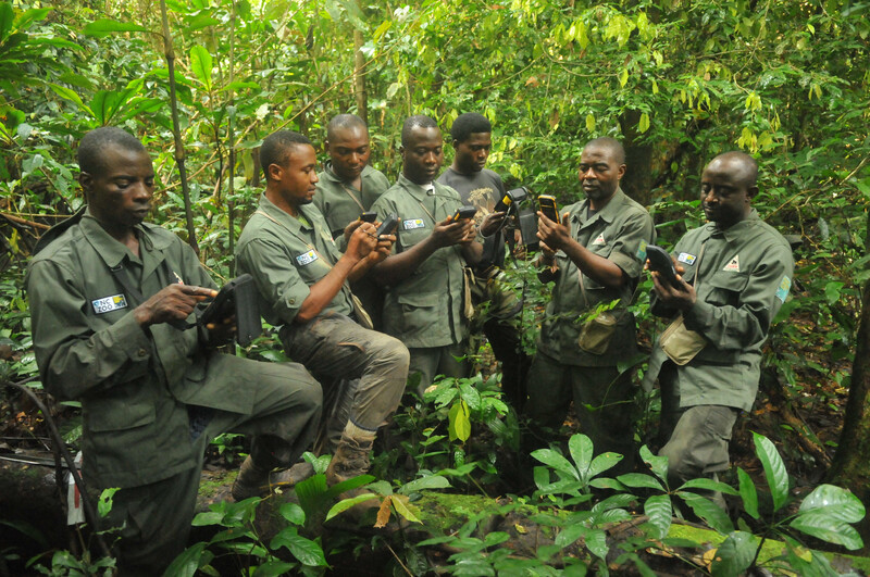 Rangers train on the use of SMART mobile data collection in Cross River National Park, Nigeria. (Photo by Rich Bergl, NC Zoo)