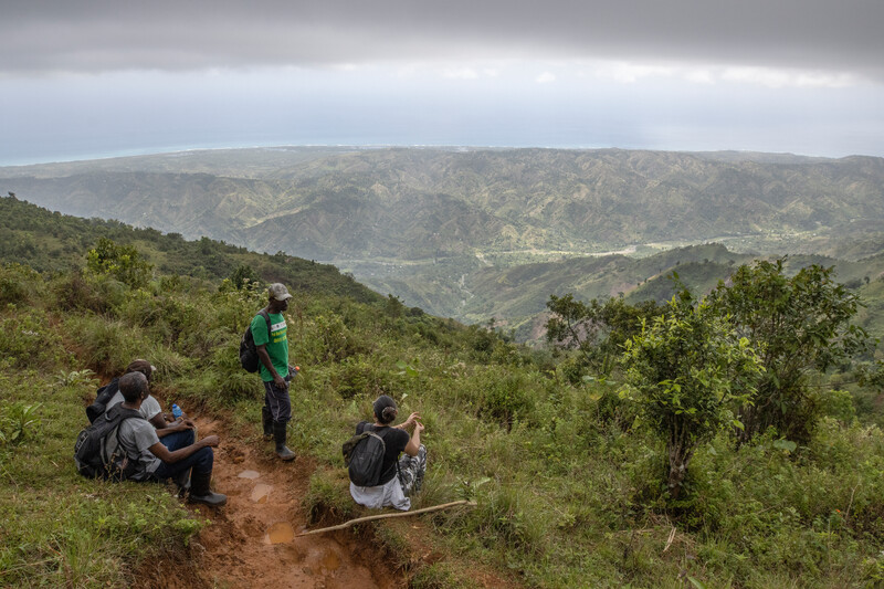 Surveying Grand Bois National Park