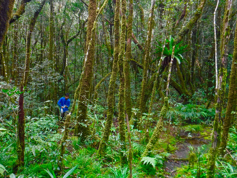 Photo by Andrew Tilker, Re:wild