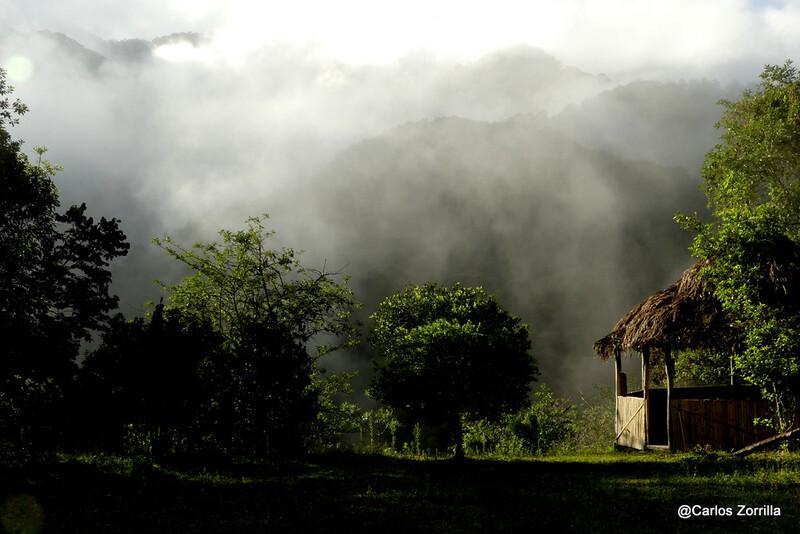 Photo by Carlos Zorilla