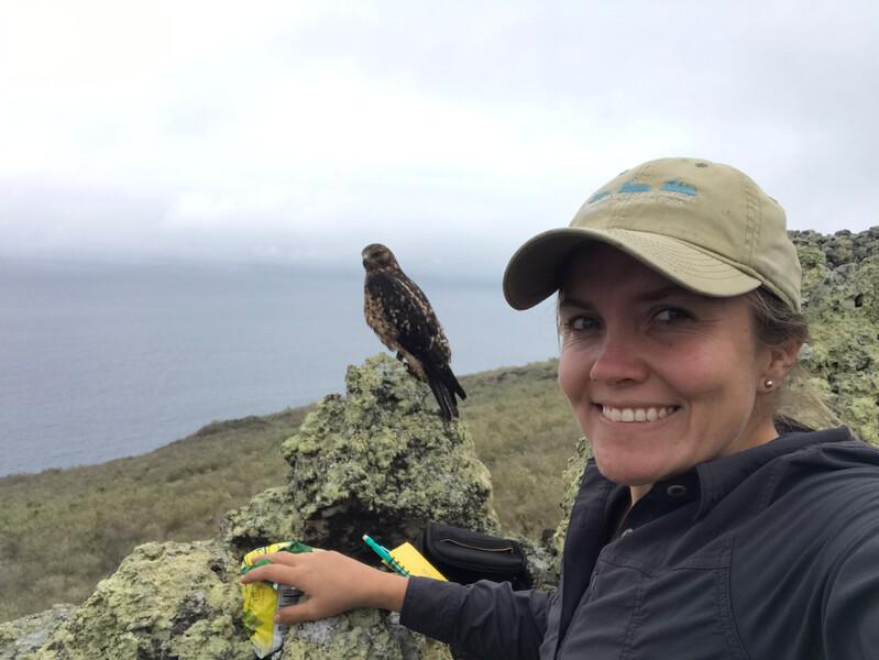 Paula A. Castaño, a wildlife veterinarian and island restoration specialist with Island Conservation with a Galápagos Hawk. Castaño, who lives in the Galápagos Islands and works across Latin America, is leading the efforts to reintroduce a number of endangered species back to their wild homes, in collaboration with the Galápagos National Park, local communities and other partners. Castaño took over the Instagram account of Leonardo DiCaprio May 17. The amplification of her voice on social media is a preview of how Re:wild, a new global environmental organization, will bring international attention and resources to scale the work of environmental heroes. (Photo by Paula A. Castaño, Island Conservation)