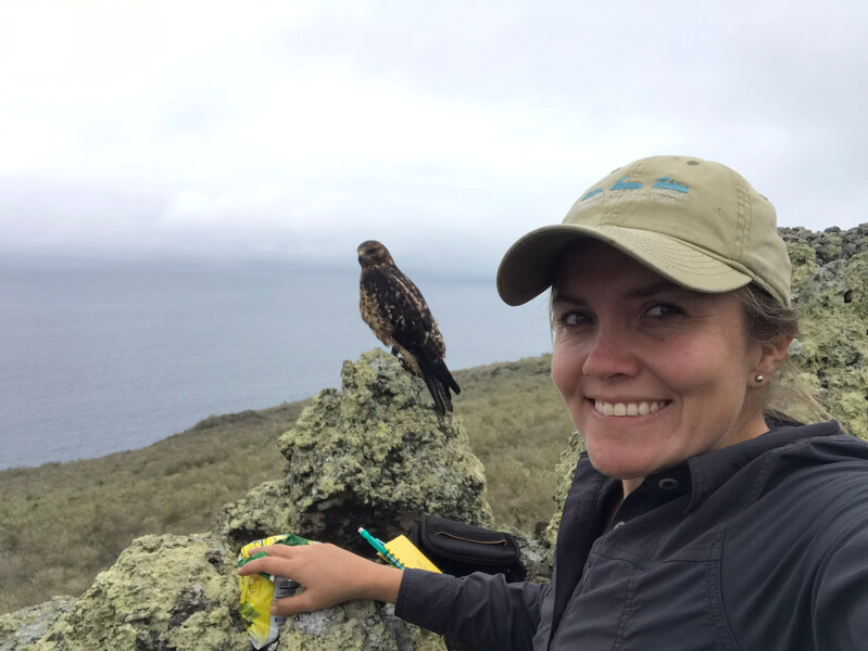 Paula A. Castaño, a wildlife veterinarian and island restoration specialist with Island Conservation with a Galápagos Hawk. Castaño, who lives in the Galápagos Islands and works across Latin America, is leading the efforts to reintroduce a number of endangered species back to their wild homes, in collaboration with the Galápagos National Park, local communities and other partners. Castaño took over the Instagram account of Leonardo DiCaprio May 17. The amplification of her voice on social media is a preview of how Re:wild, a new global environmental organization, will bring international attention and resources to scale the work of environmental heroes. (Photo by Paula A. Castaño, Island Conservation)