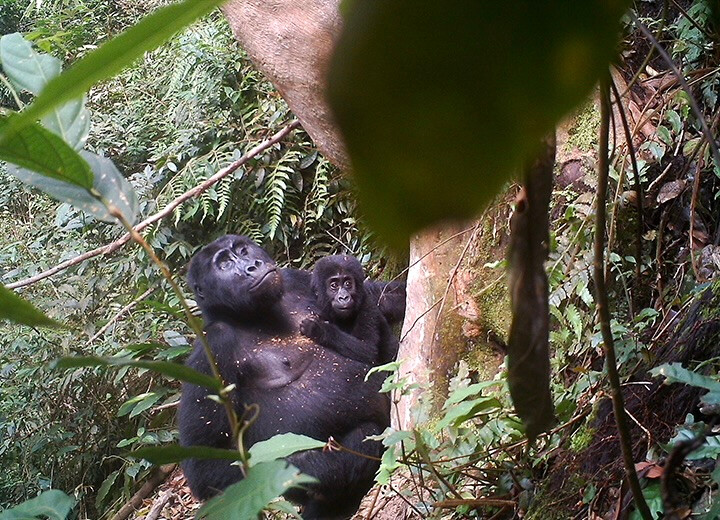 Trail image from Tayna Nature Reserve