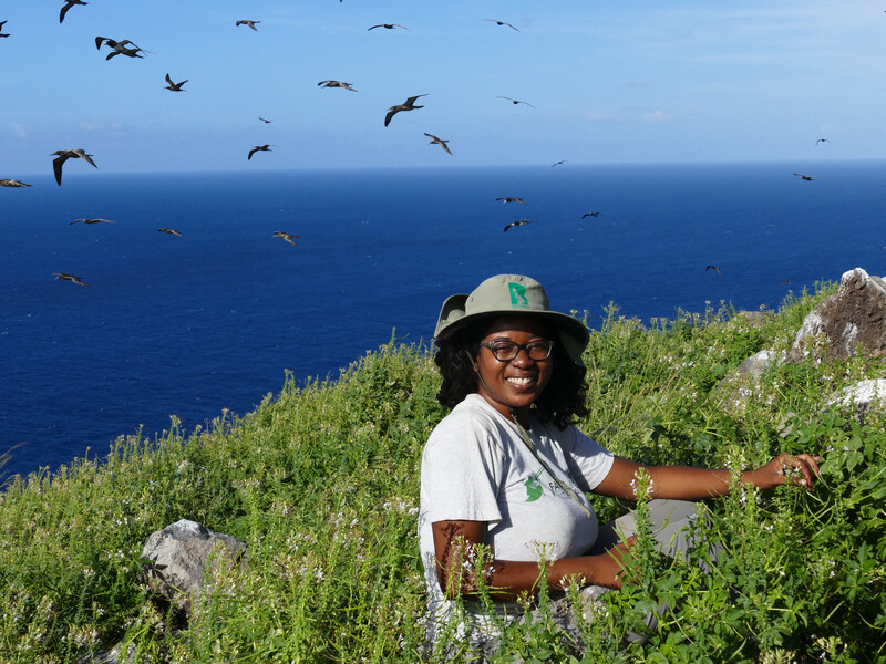 Shanna Challenger, Offshore Islands Conservation Programme Coordinator at Environmental Awareness Group, with seabirds on Redonda Island.
