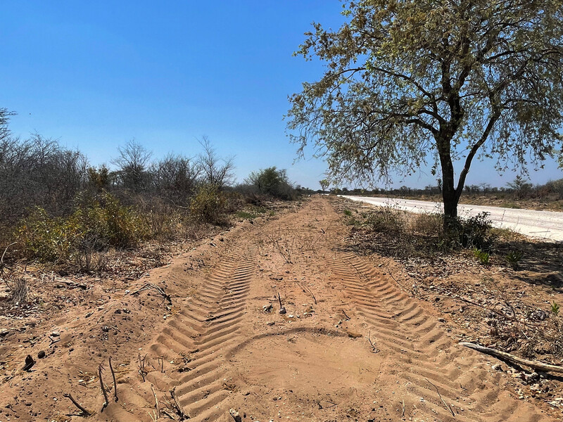 New seismic prints from the massive steel plates line the wood-stripped roadside near the drill sites. The company is conducting a new seismic survey. For now it appears that drilling is over at the two main drilling sites at Kawe and Mbambi in Kavango East region of Namibia. The rig is on a truck loaded to move from Mbambi, and at Kawe it seems the main drill pond has been filled in. (Photo by Re:wild)