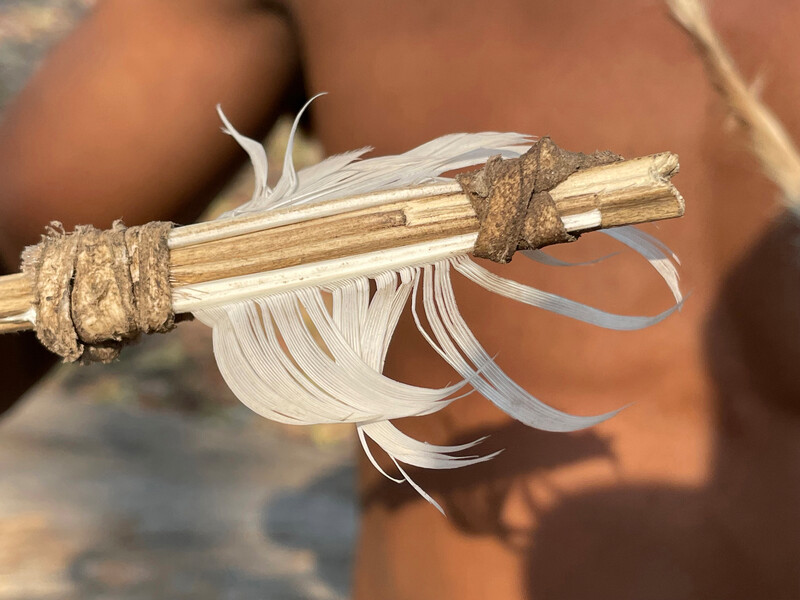 Khwe San, Xaara and Nxkuroo, full names and location withheld, demonstrate their traditions such as using snares made from acacia bark and other traditional hunting methods that involve living sustainably off the land.
