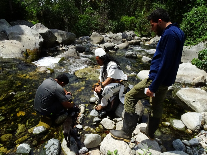 From left to right: José Luis Pérez-González, Ruperto Chaparro Villafaña, Jeferson Villalba Fuentes (Photo by Fundación Atelopus)