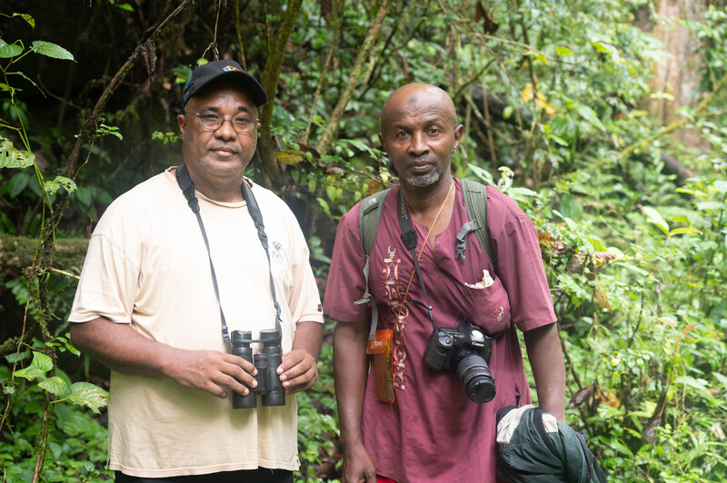 PHOTO: (left) Lily-Arison Rene de Roland the leader of the expedition to find the dusky tetraka and (right) Loukman, a member of the expedition team. (Photo by John C. Mittermeier)  The dusky tetraka, a small olive and yellow-throated bird that hops around on the ground and has eluded ornithologists for 24 years, was rediscovered by an expedition team searching the tropical forests of northeastern Madagascar. The expedition team, led by The Peregrine Fund’s Madagascar Program, found the species in two different remote sites; one on the Masoala peninsula and another near Andapa in late December 2022 and early January. The last documented sighting of the dusky tetraka was in 1999, making it one of the top 10 most wanted lost birds by the Search for Lost Birds, a collaboration between Re:wild, American Bird Conservancy and BirdLife International.