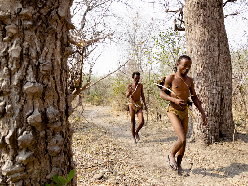 Khwe San, Xaara and Nxkuroo, full names and location withheld, demonstrate their traditions such as using snares made from acacia bark and other traditional hunting methods that involve living sustainably off the land. (Photo by Re:wild)
