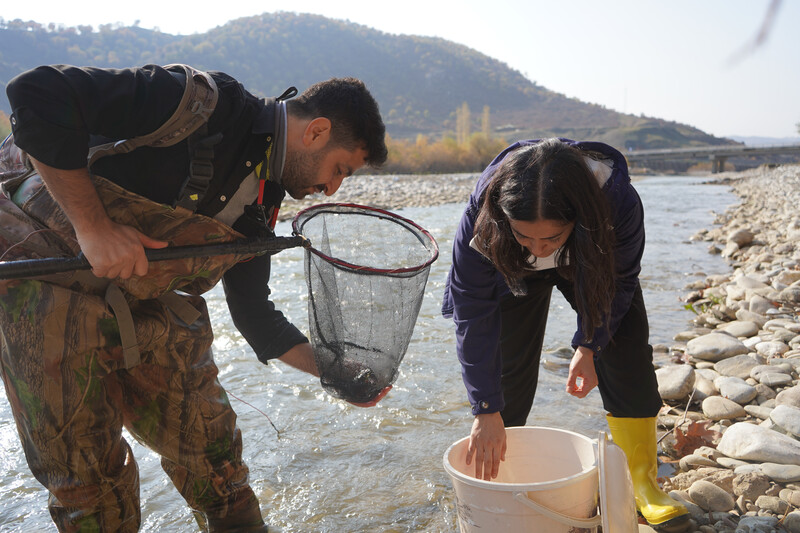 Cüynet Kaya and Müevver Oral, researchers with Recep Tayyip Erdogan University, searching the Sarim and Han streams in Turkey for the Batman River Loach. The Batman River Loach had been lost since 1974 until the team rediscovered it in the streams that makeup the headwaters of the Batman River. (Photo courtesy of Re:wild)