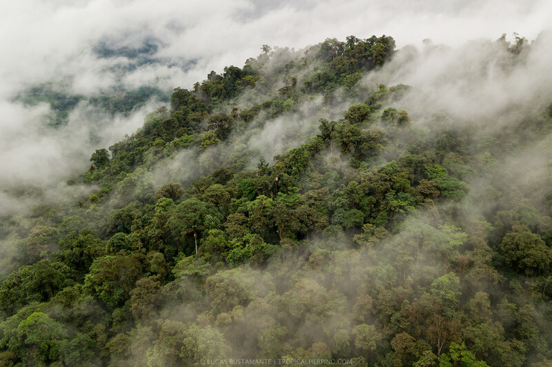Intag Valley (Photo by Lucas Bustamante / @luksth)