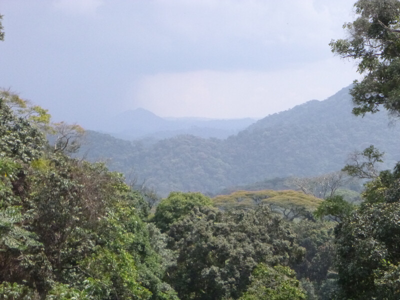 Tayna Nature Reserve landscape. 
