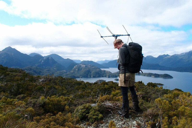 Ranger Freya with telemetry gear on Anchor Island. (Photo by Laura Patience)