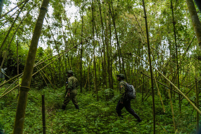 Virunga National Park rangers (Photo by Bobby Neptune)