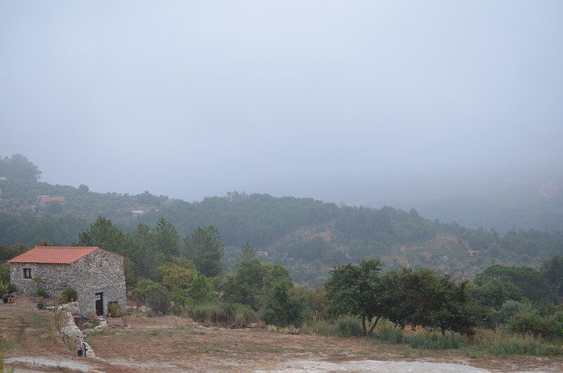 Village of Fagilde (Photo by Sérgio Henriques, Global Center for Species Survival at the Indianapolis Zoo)