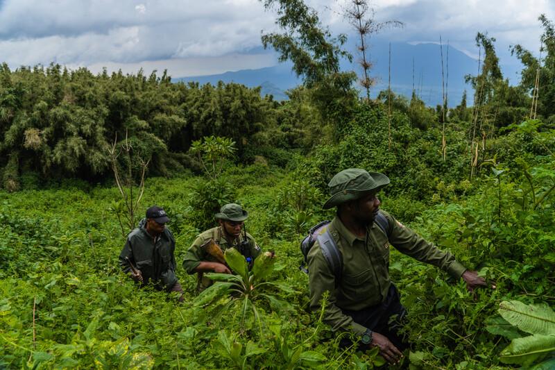 Rangers patrolling Virunga National Park. 