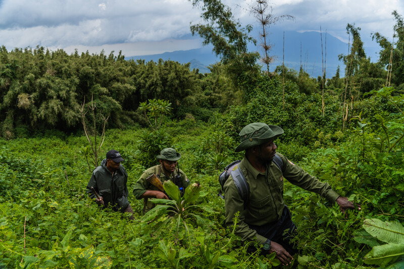 Rangers patrolling Virunga National Park. 