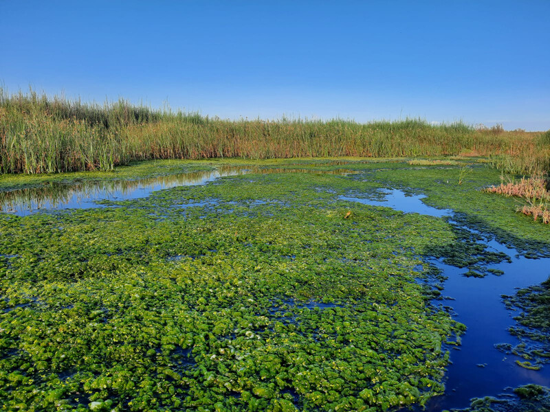 Ansenuza National Park in Mar Chiquita, Argentina. (Photo courtesy of Natura International)