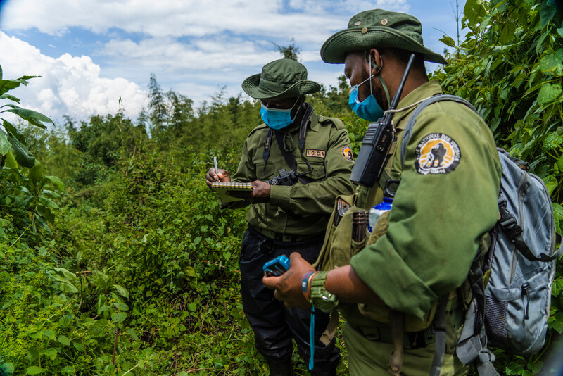 Virunga National Park rangers (Photo by Bobby Neptune)