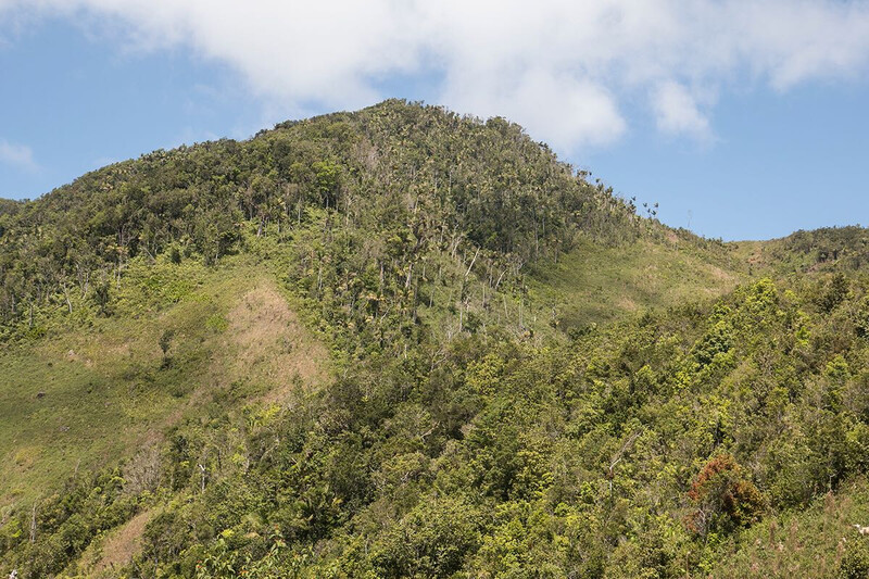 Grand Bois National Park
