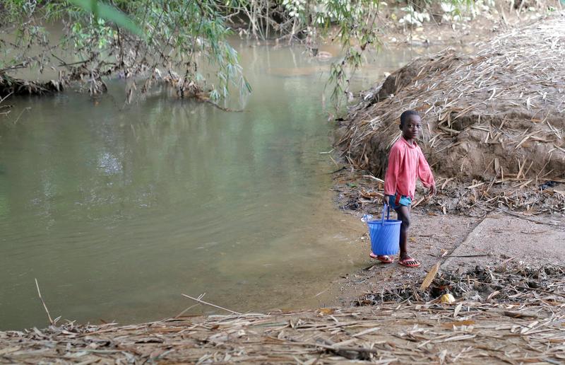 Atewa Forest (Photo courtesy of A Rocha)