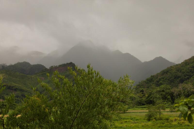A photo of the Turimquire mountains taken during the expedition searching for Urich's tyrannulet in Venezuela in May 2021. (Photo by David Ascanio)