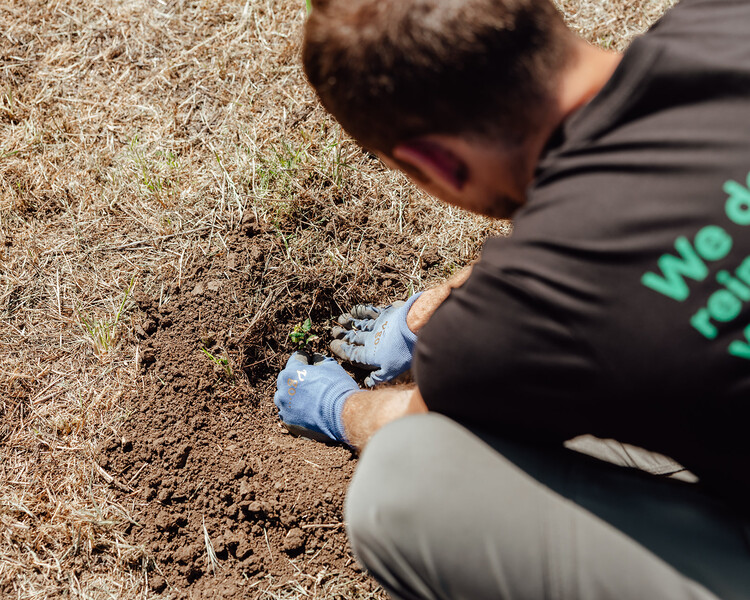 Volunteer planting native species in restoration project at Santa Monica Mountains National Recreation Area. 